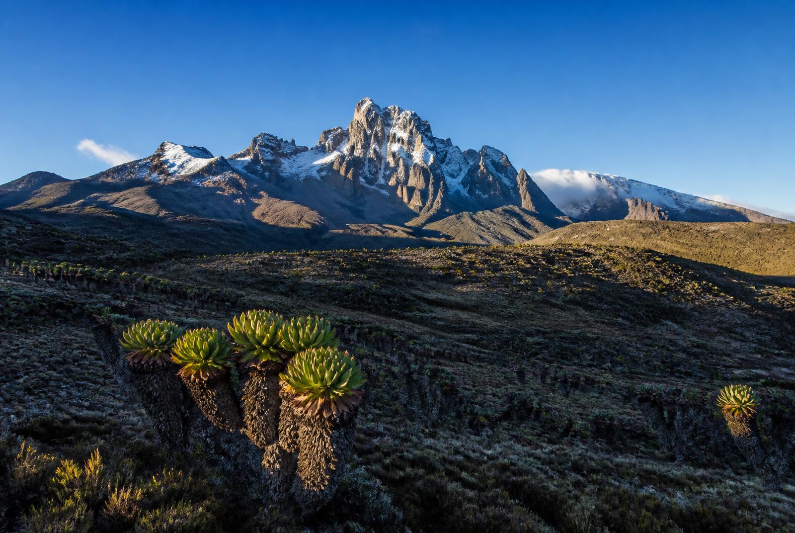 Mount Kenya